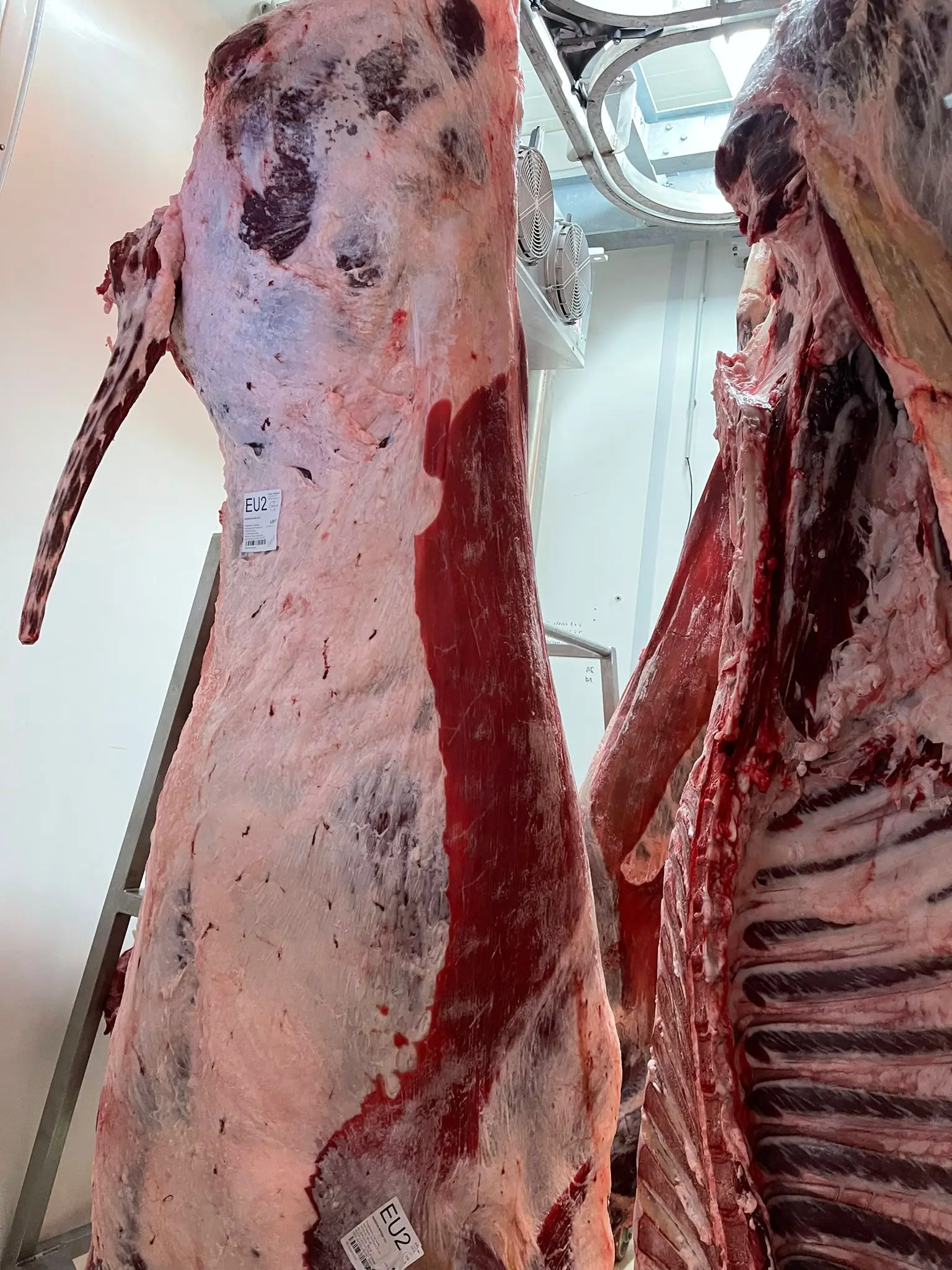 Natural Beef Meat Cow Carcass( Frame) In Vacuum Pack Beef Meat
