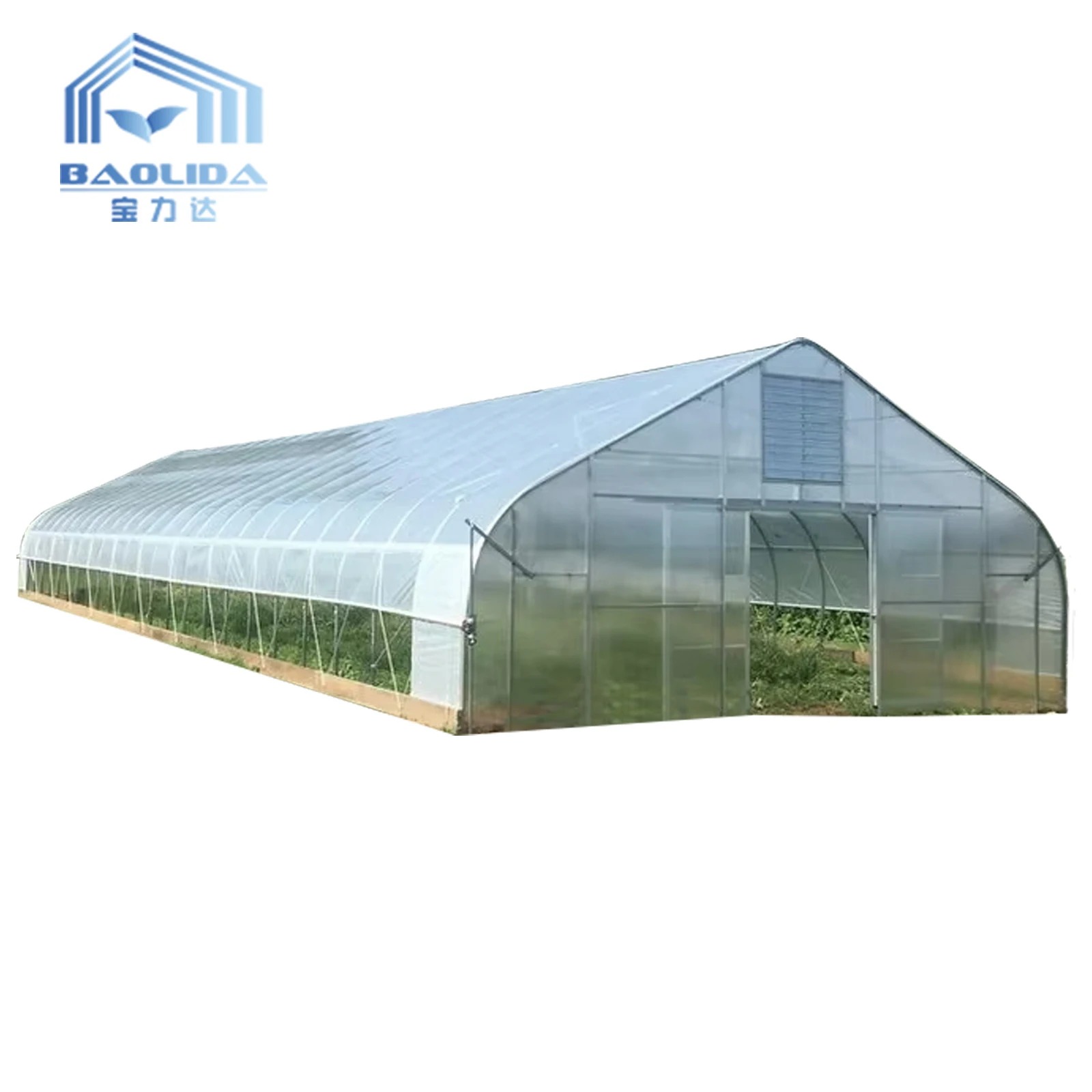 Aquaponic Tomato Greenhouse For Sale