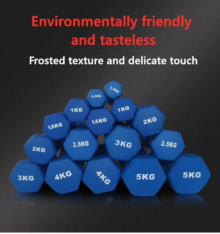 OLLAS Buy Online Gym Workout Sports Training Fitness Equipment Hex Weight Set Dumbbells