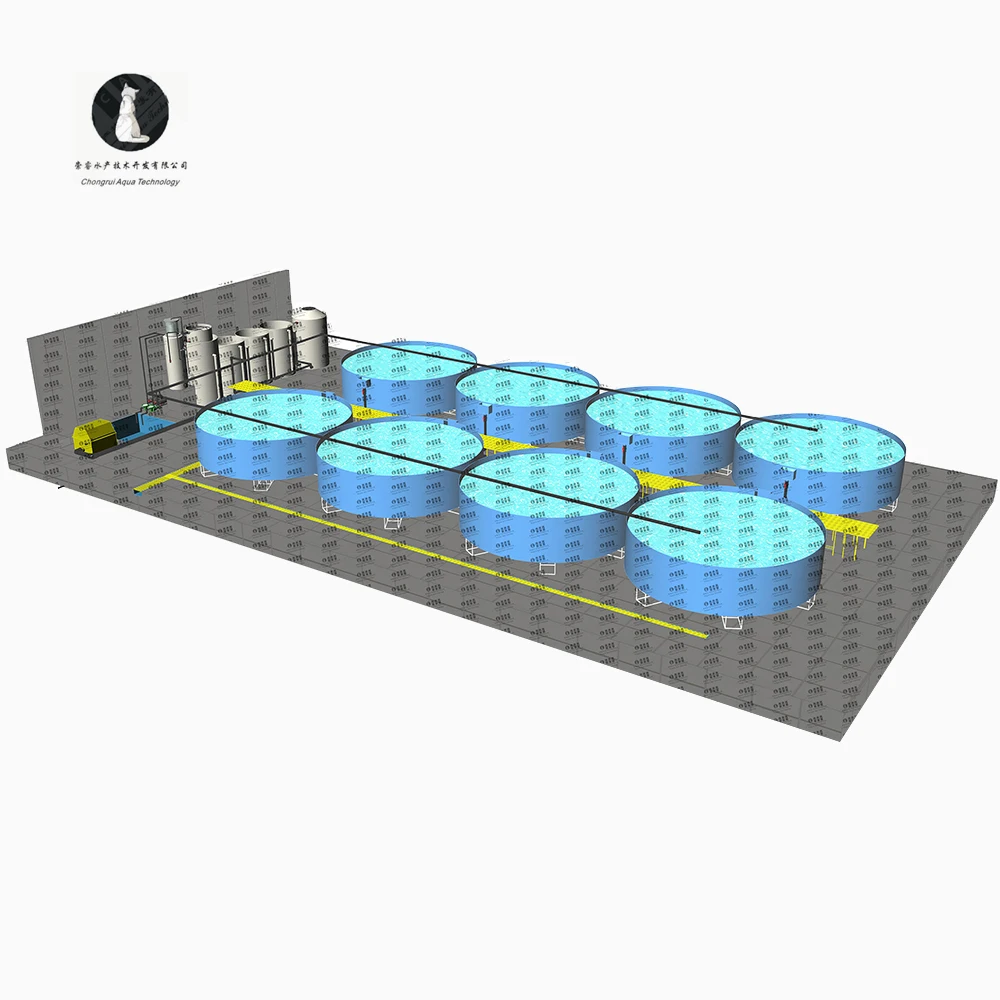 CATAQUA Integrated Modern Fish Shrimp Farm RAS System Recirculating Aquaculture