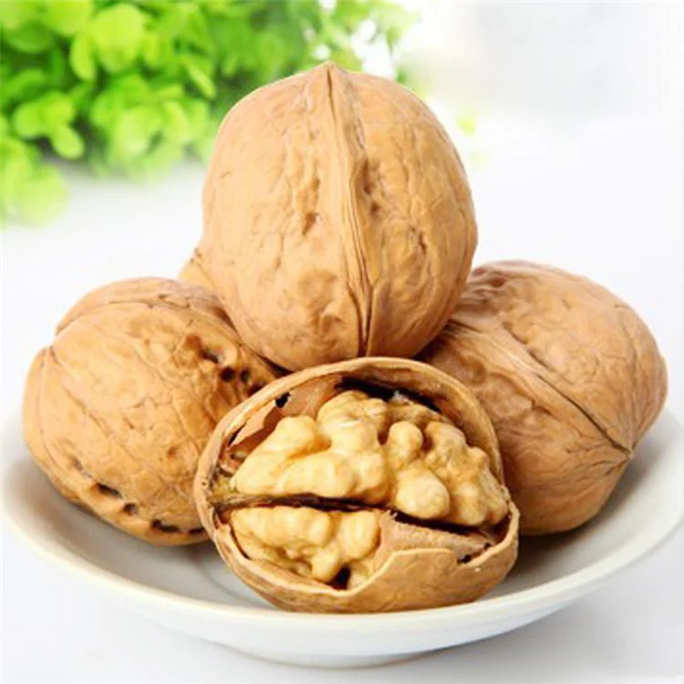 High Quality Walnut Kernel Wholesale /best Grade Organic Raw Walnut/ High Grade Organic Walnuts