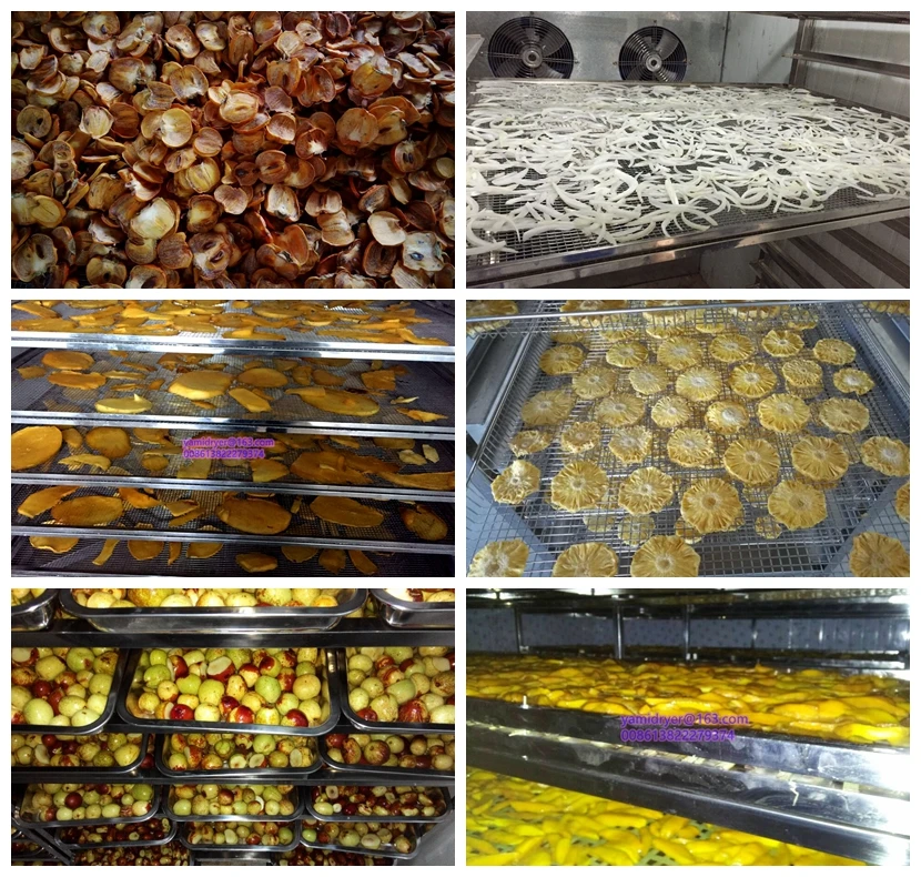 Industrial used cabinet dryer fruit processing drying machine mango drying chamber dates dehydrator oven
