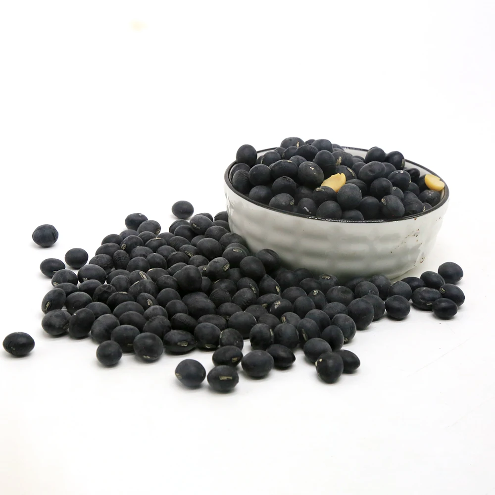 Top sale Various good quality Bulk Pack Black Soya Bean Organic Black Beans