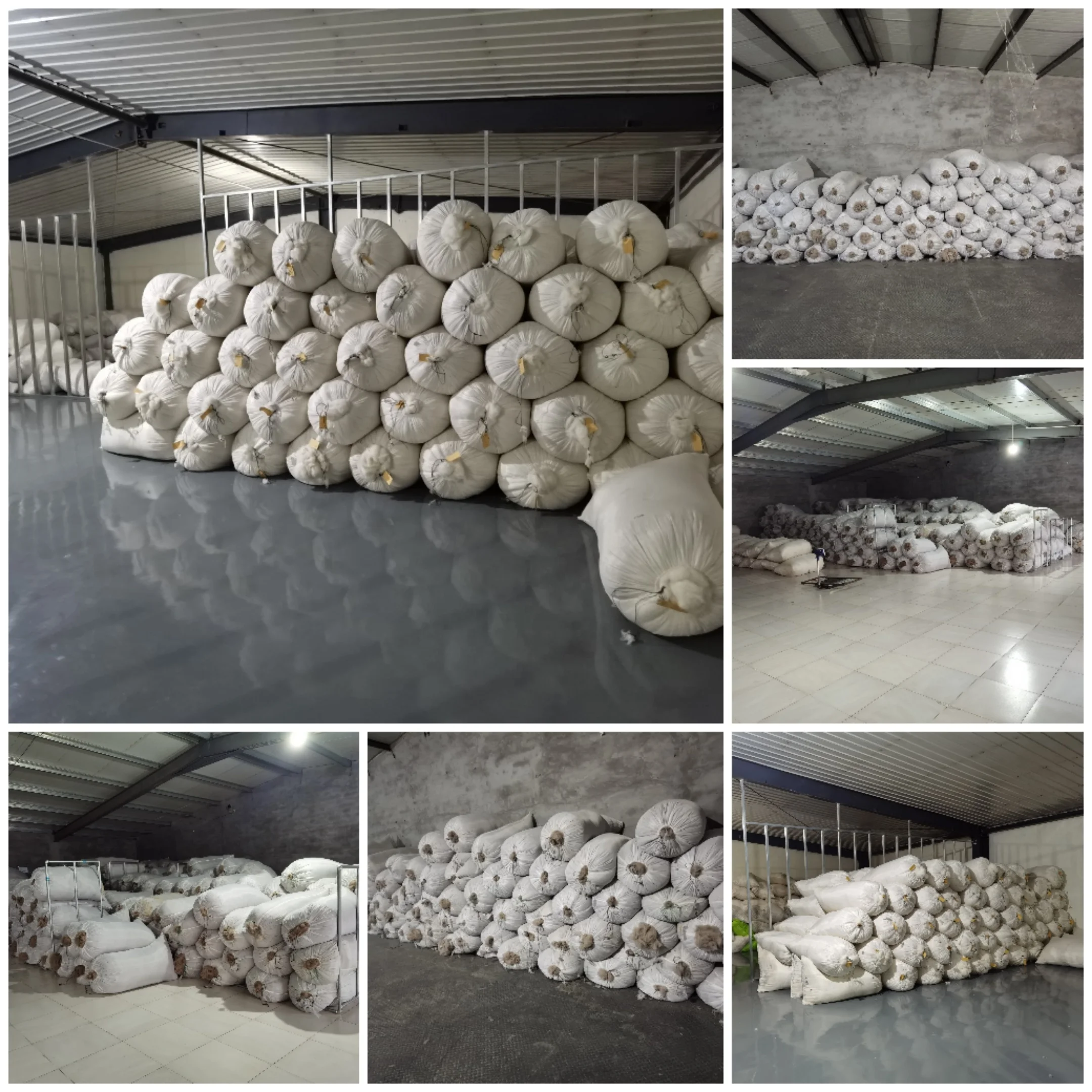 SFA manufacturer markwin 100% cashmere fiber cheap price Alxa League goat High Quality 30-34mm