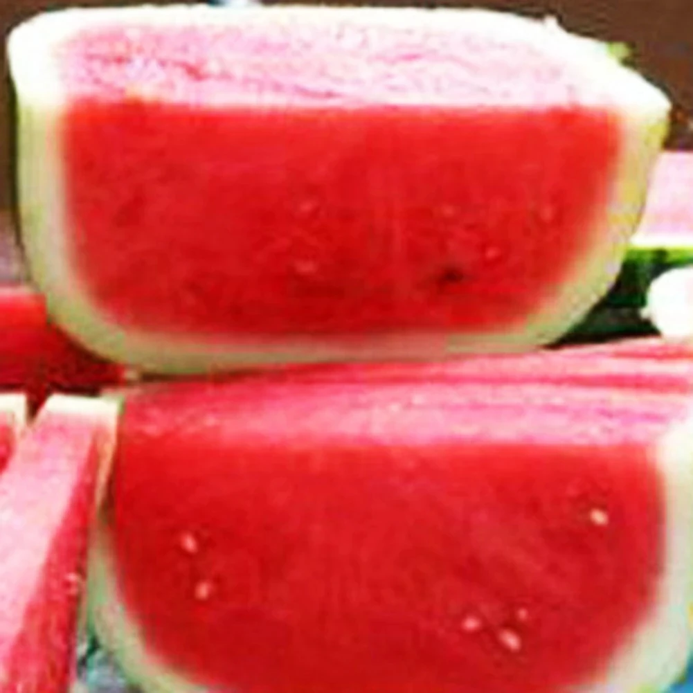 fruit mold watermelon (5).jpg
