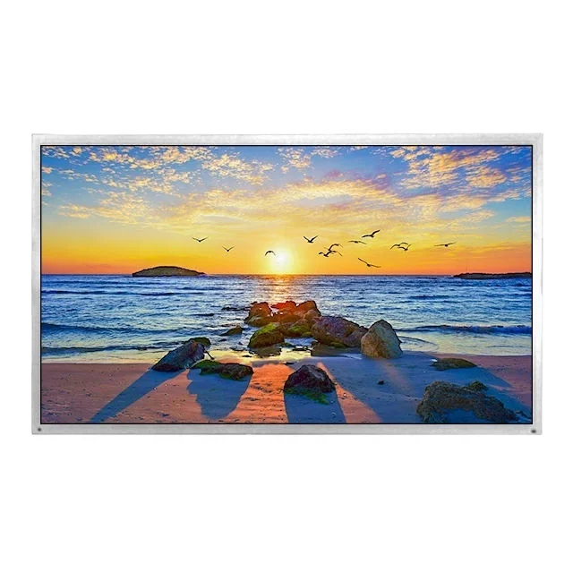 high brightness display 500cd/m2 65 inch 1920x1080 lcd panel outdoor digital display P650QVN05.0