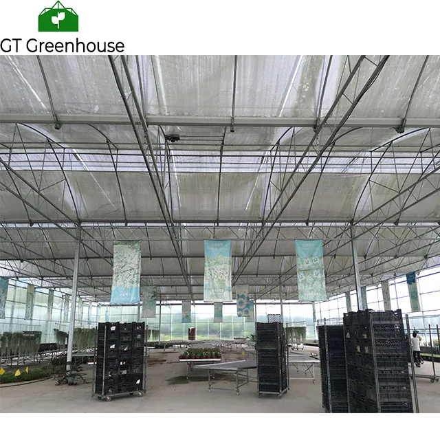 Прочный сельскохозяйственный полностью автоматизированный поликарбонатный лист, тепличная цена