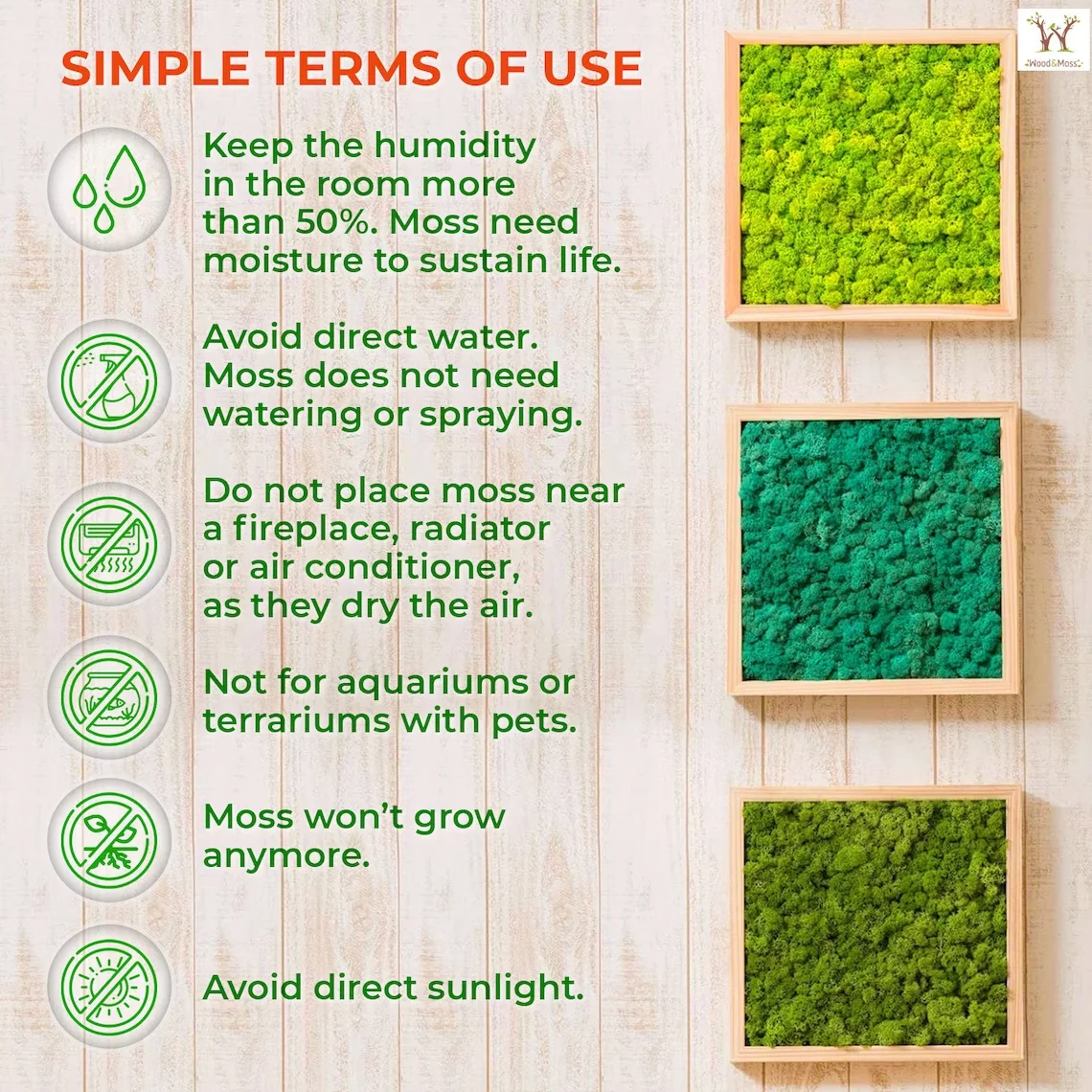 Wholesale hot sale natural green stabilized moss musgo preservado 500g colorful reindeer live preserved moss bulk