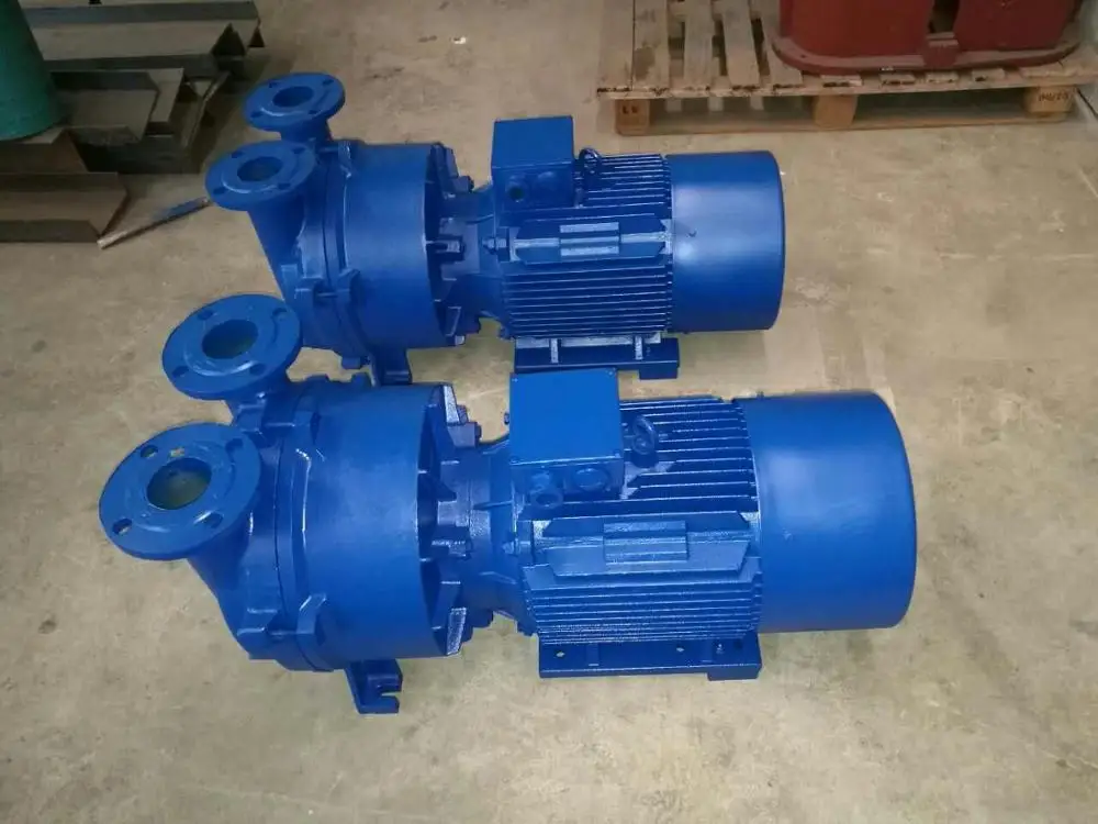 2BV2 2BV5 2BV6 Single Stage Siemens NASH Elmo Liquid Water Ring Vacuum Pump with Stainless Steel Impeller