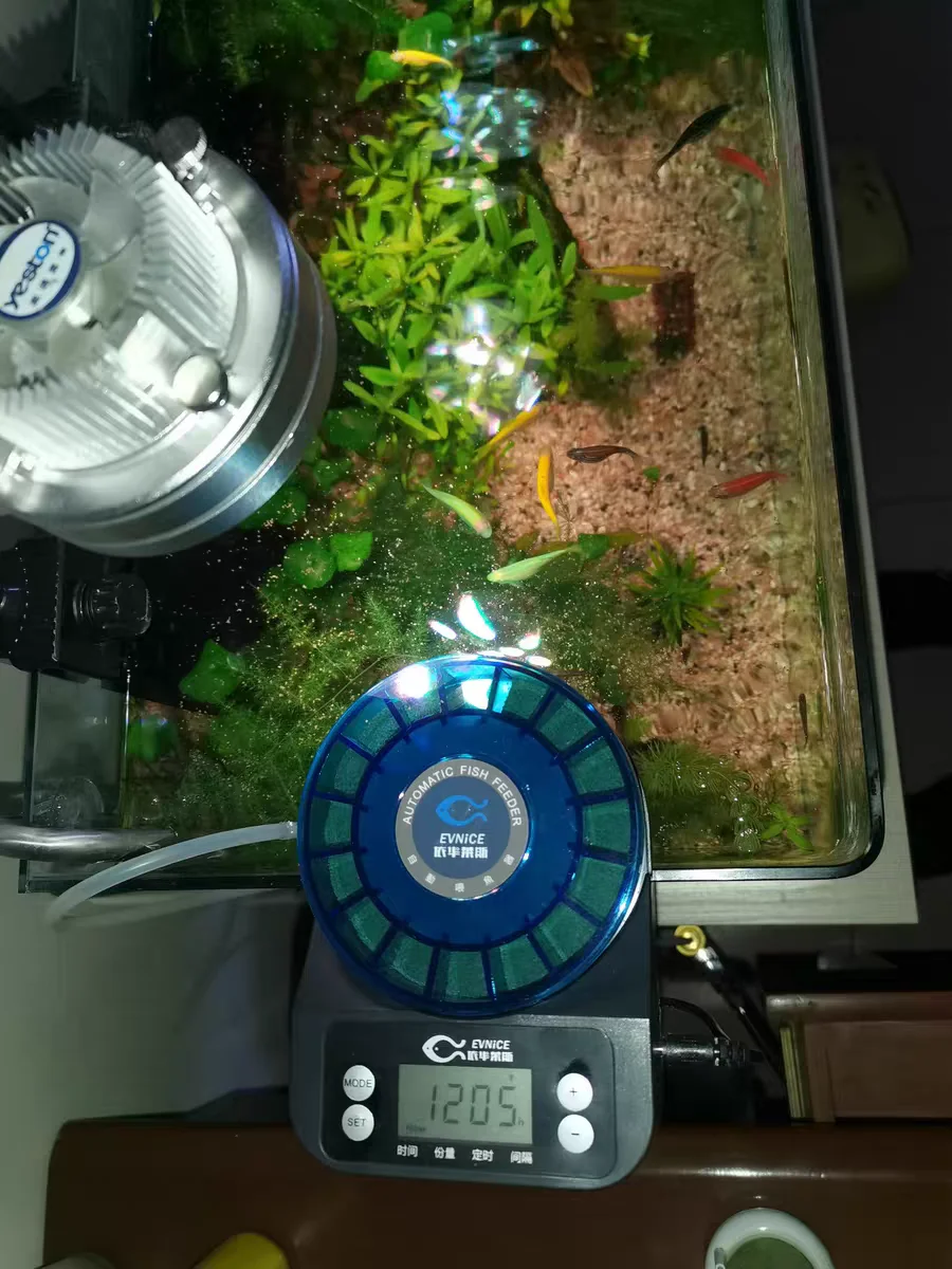 HOT SELLING automatic feeder battery rechargeable feeding multi-function feeder auto fish feeder
