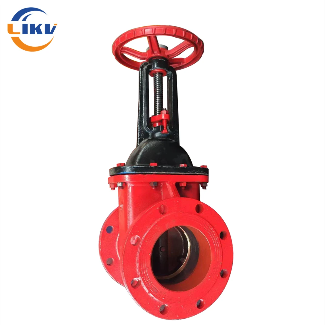 Cast Iron C954/952/922/958/Bronze Copper Gun Metal Seat OSY Wedge Gate Valve