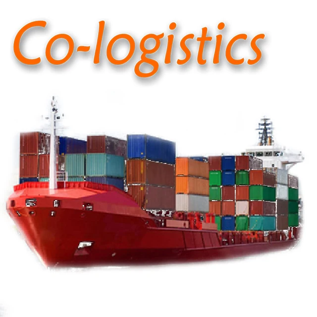 ddp door to door shipping from China to United Arab Emirates/UAE sea+truck shipping