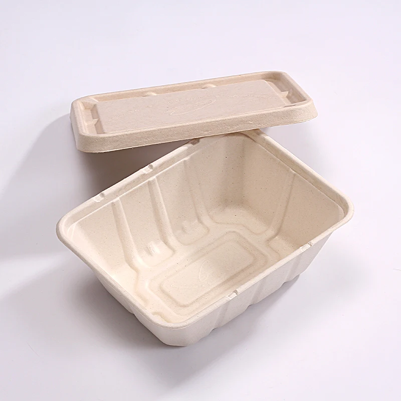 Eco friendly disposable bagasse dinnerware sets biodegradable packaging for food