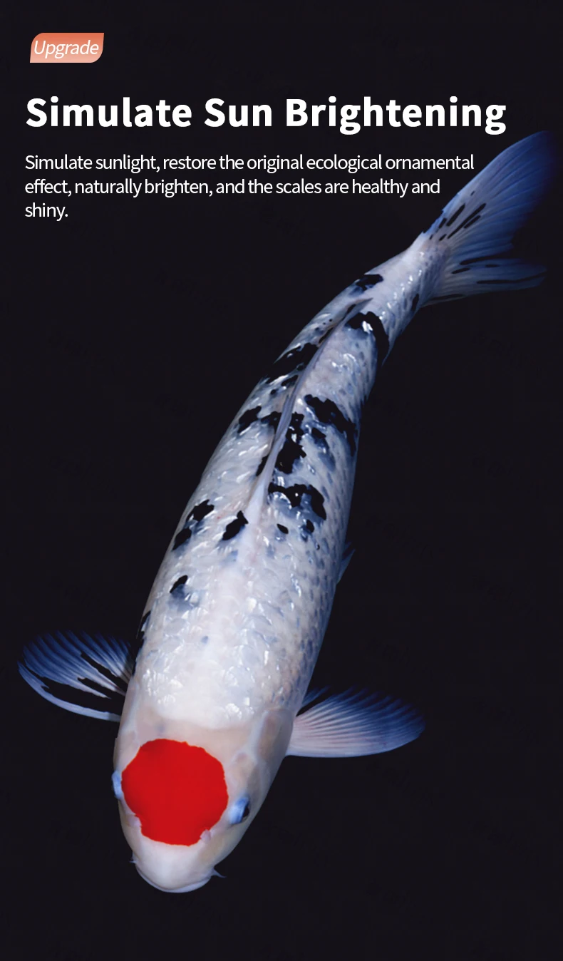 wholesale ornamental fish aquarium lamps led germicidal lamps