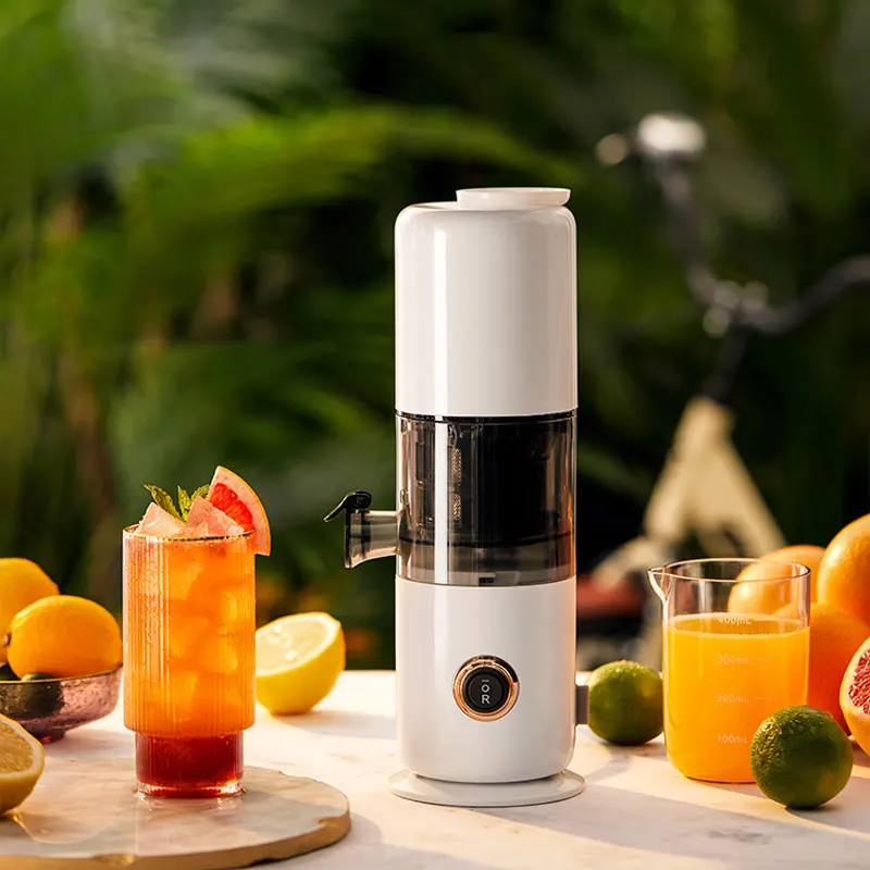 RANBEM Cold Pressed Fresh Juice Small Electric Carrot Lemon Compact Juicer Machine Mini Vegetable Juicer