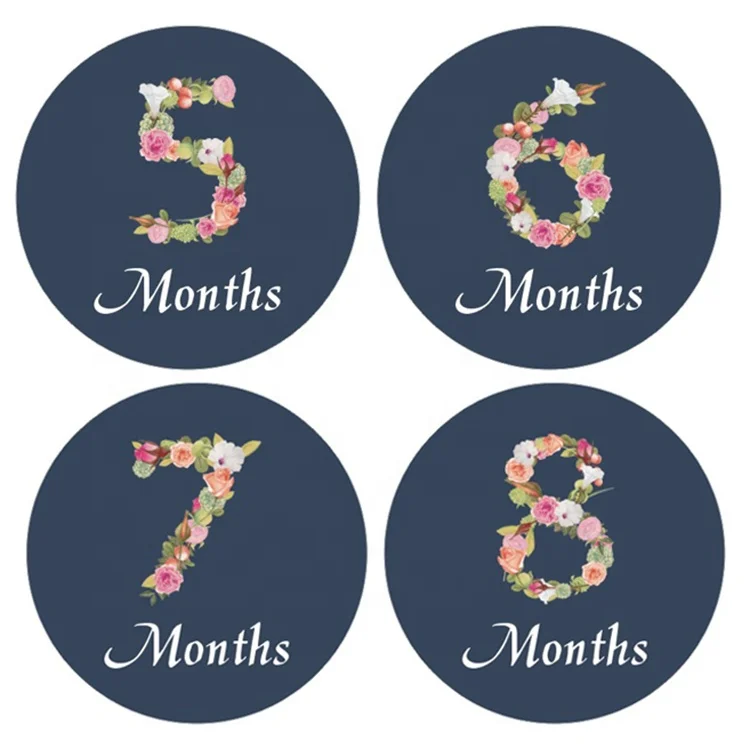 Wholesale Wish New born baby monthly stickers floral milestone stickers