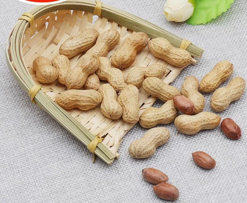 Roasted Peanut Wholesale Peanut In With shell 9/11