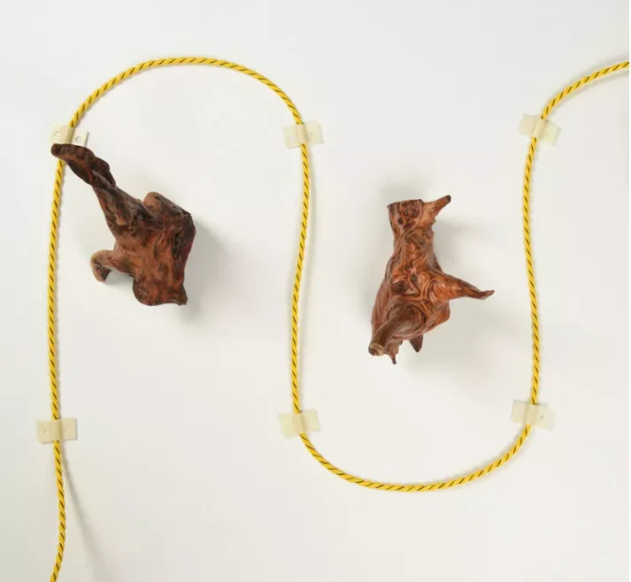 Широкое применение зажим для кабеля проводов фиксации обнаружения утечки воды/электрического провода