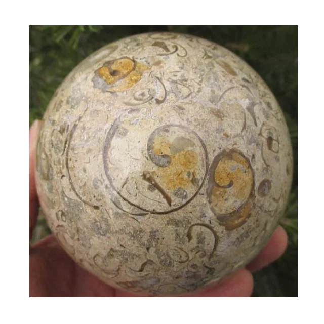 
Fossil Marble Eggs In Low Price For Decoration 