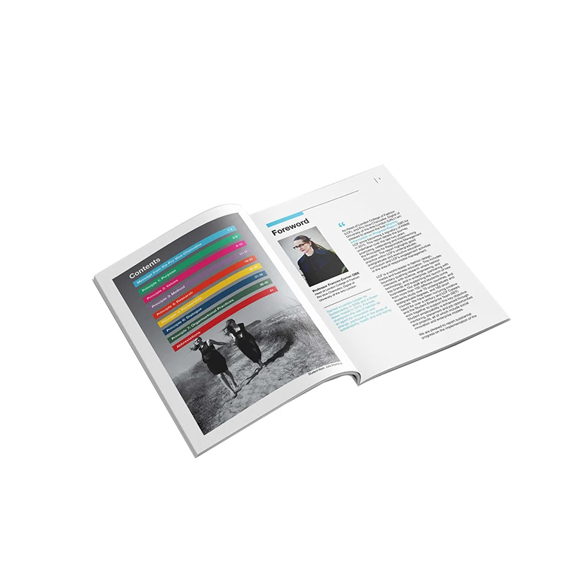 Promotional company mini booklet offset printing company catalog