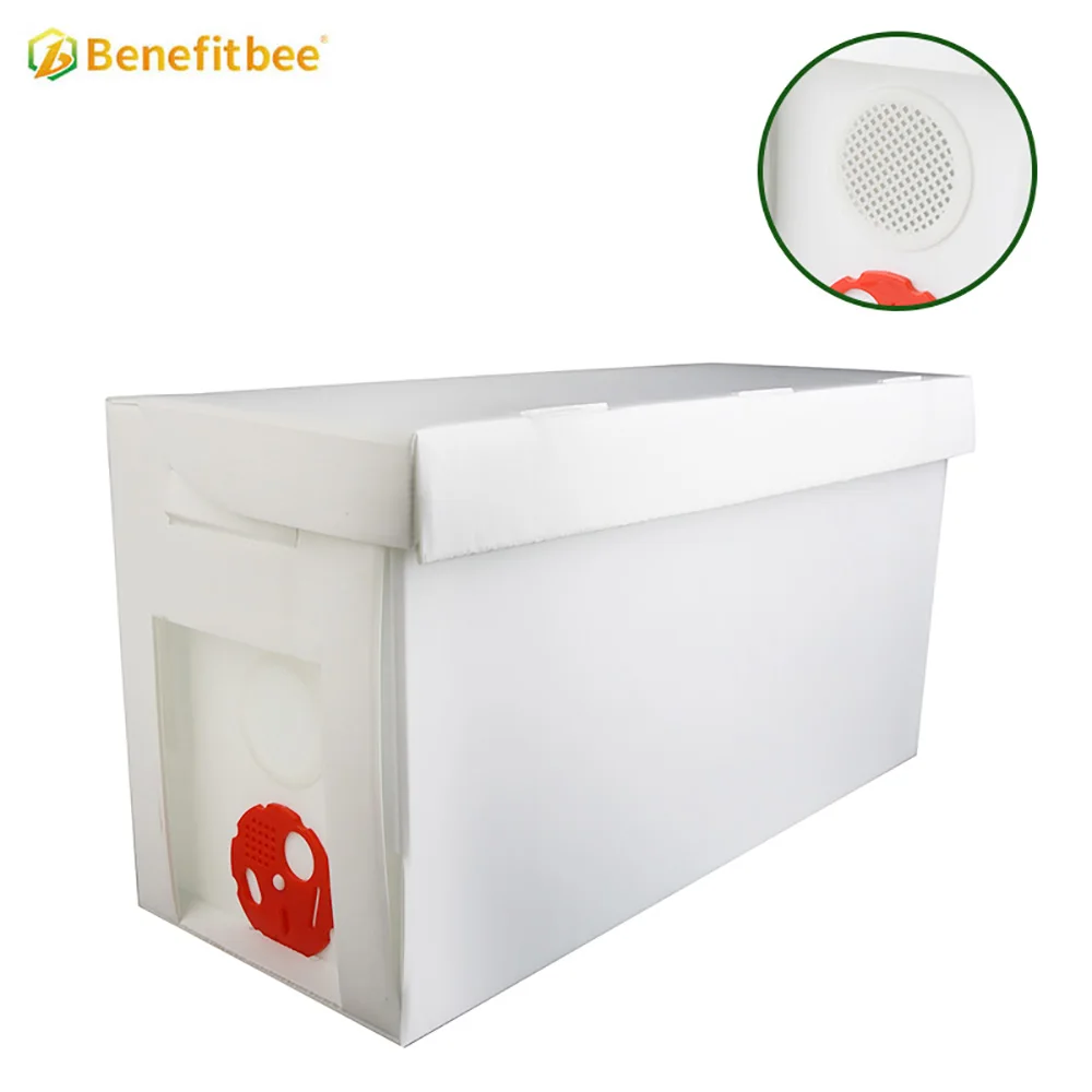 Beekeeping hive tools 5 frames nuc box plastic beehive