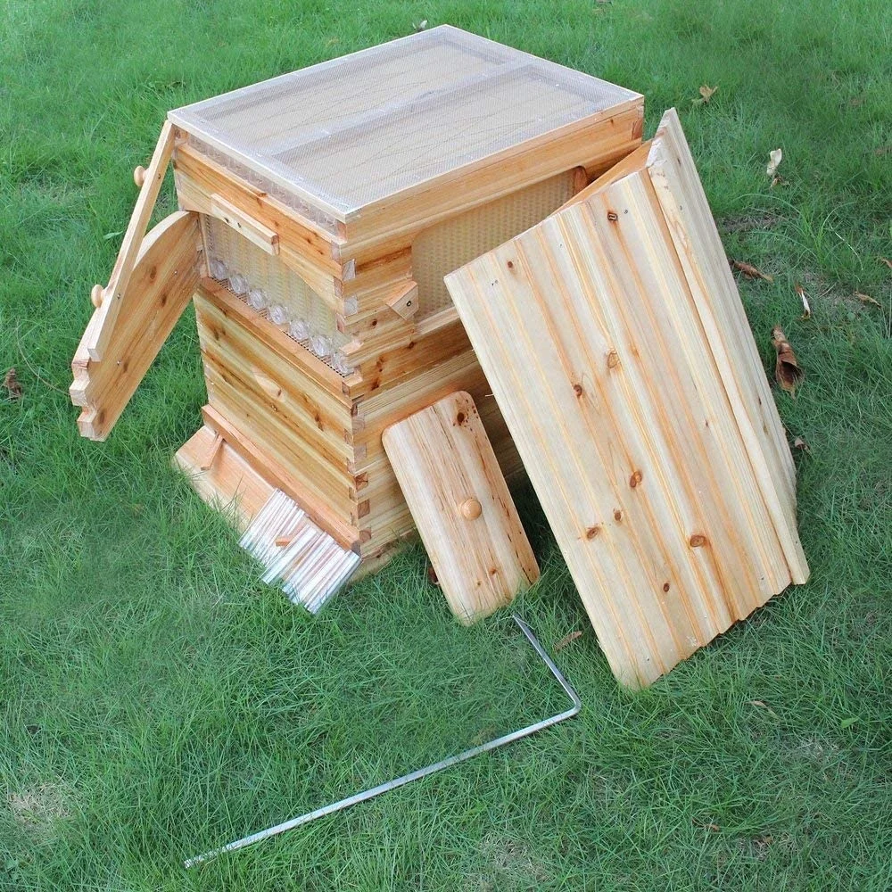 Automatic Wooden Bee Hives House Kit With 7 Pcs Upgraded Auto Frame Comb