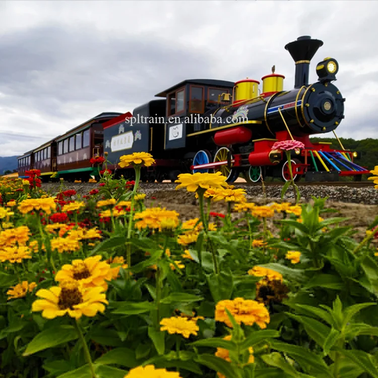 
Туристы Дети электрический дизельный аккумулятор парк развлечений открытый трек поезд аттракционы для продажи 