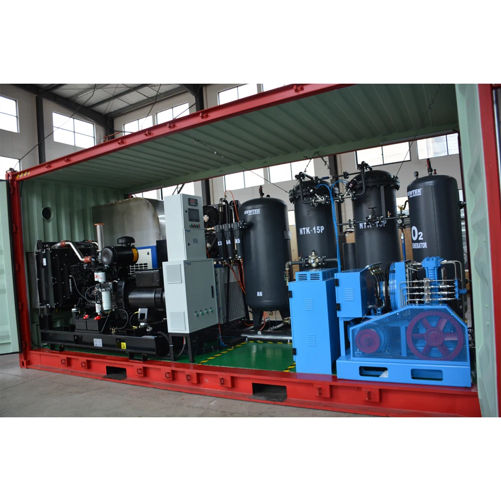 NEWTEK Container Medical Oxygen Generator Portable Oxygen Generation System High Purity