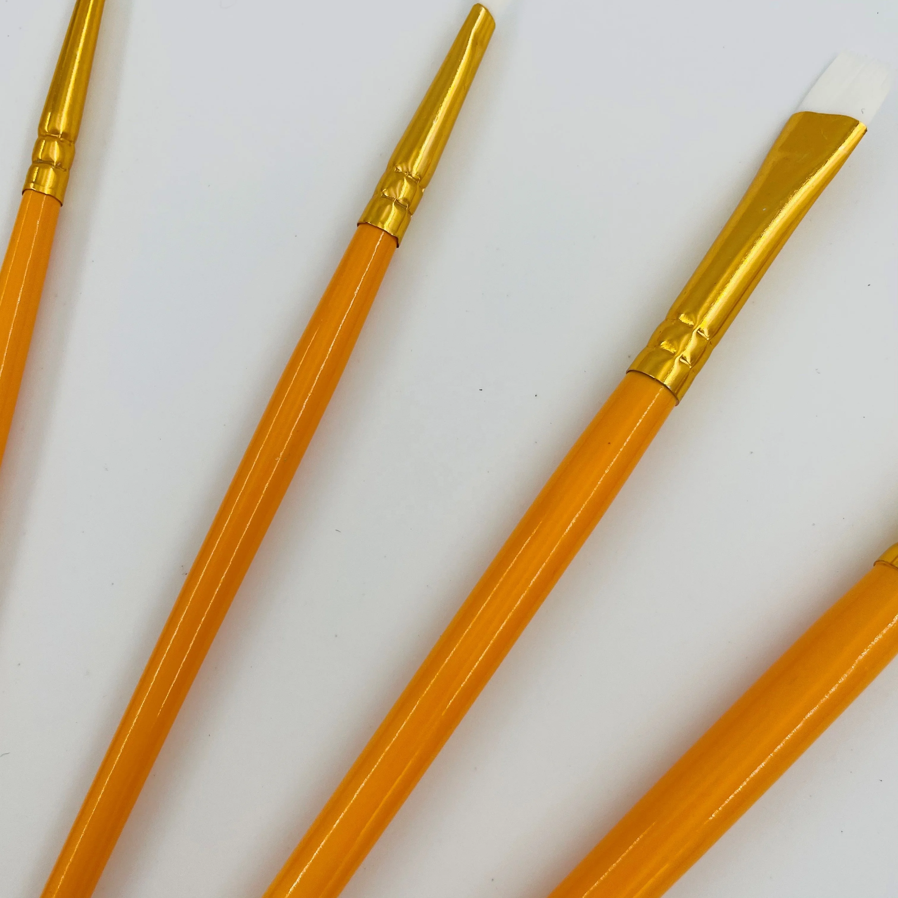 Hot Sale 5 pcs Artist Paint Brush Sets Various Hair Shape Wholesale Wooden Handle Paint Brush For Children School