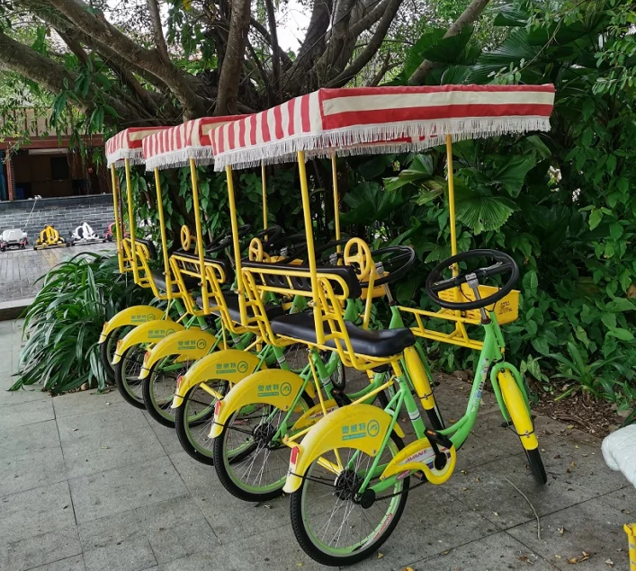 Luxurious Bicicleta 2 Person Tandem Surrey Quadricycle Sightseeing Bike For Park Rent