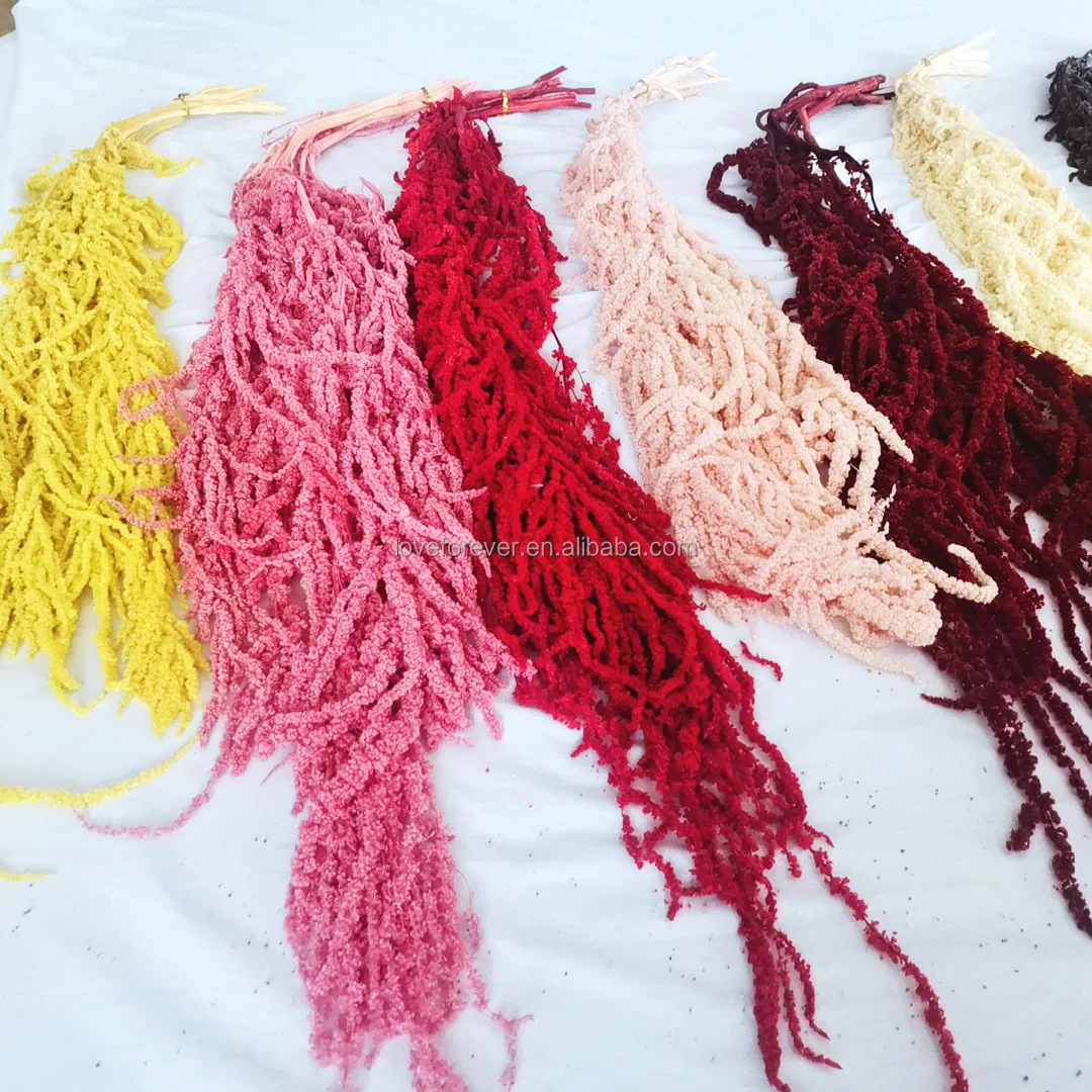 Yunnan natural wholesale natural dried preserved amaranth for home decoration & wedding