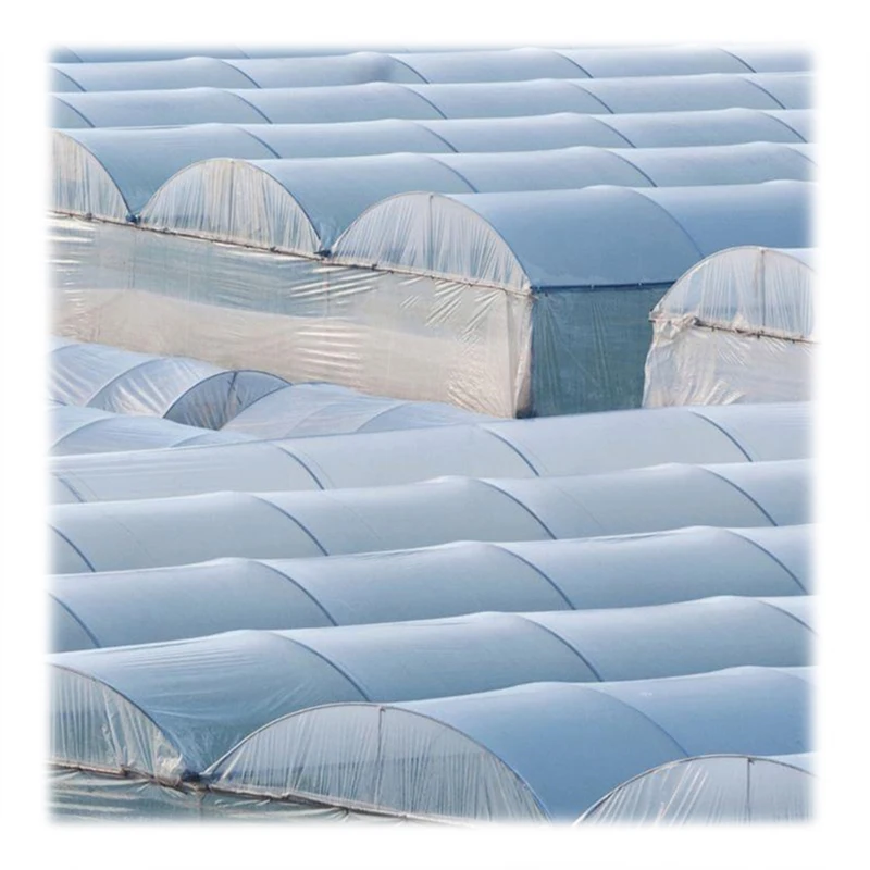 Techygro GH-03A Agricultural Greenhouse Equipped Cooling System Plastic Film Multi-Span Greenhouses Use Hot Weather For Sale