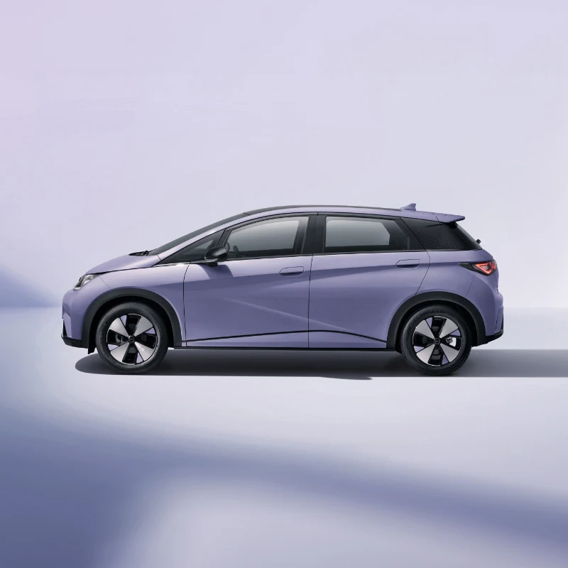 BYD Dolphin High Performance 420 Km Pure Electric Five Seats 2024 New Cheapest Ev Car New Energy Vehicles