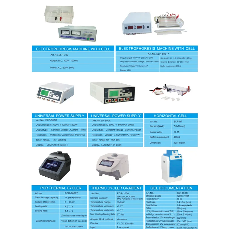 Wincom PCR-9600 Real Time PCR Thermal Cycler Price for DNA Testing Machine and Equipment