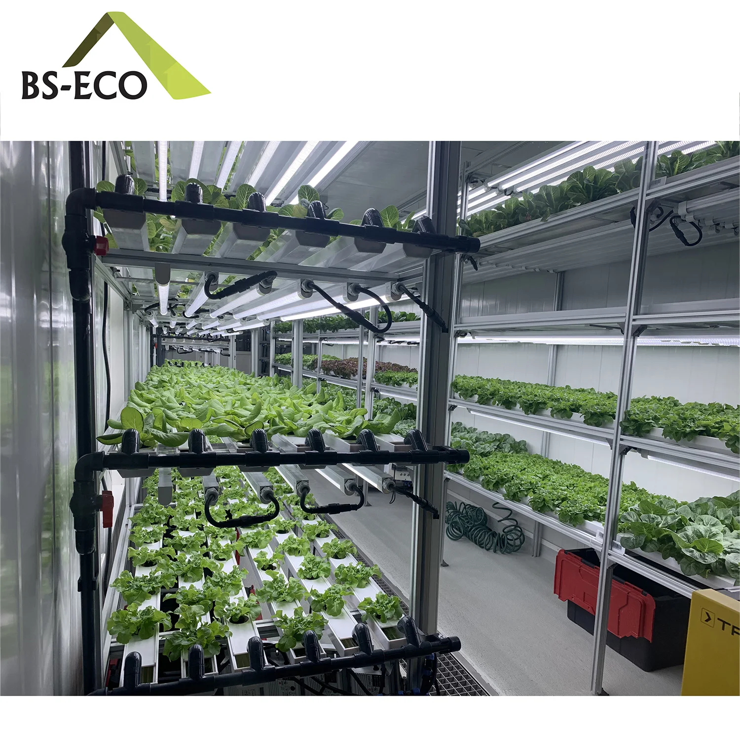 Hydroponic multi-tiered Growing System being used in a large greenhouse.