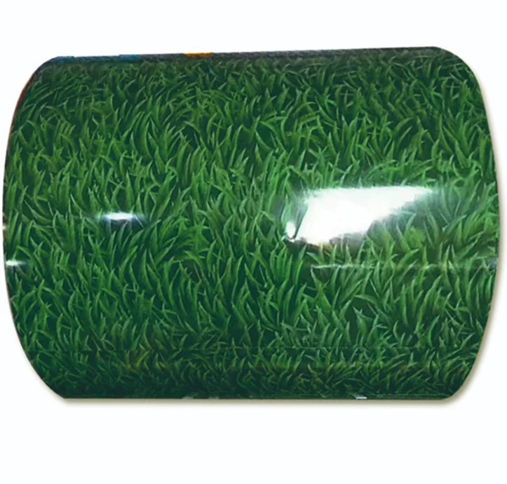 Double Coated Color Painted Metal Roll Paint Galvanized Zinc Coating Ppgi Ppgl Steel Coil/sheets In Coils