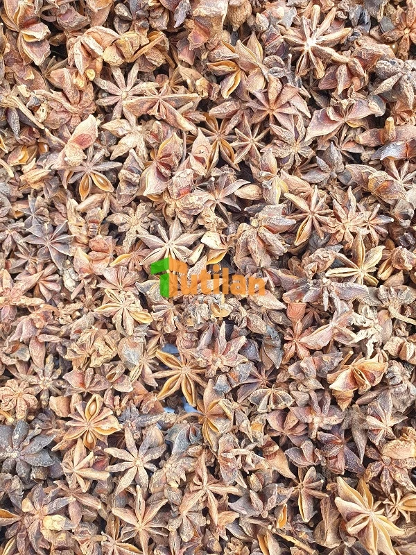 Оптовая продажа с завода самая низкая цена и лучшее качество специи приправы семена вьетнамского аниса