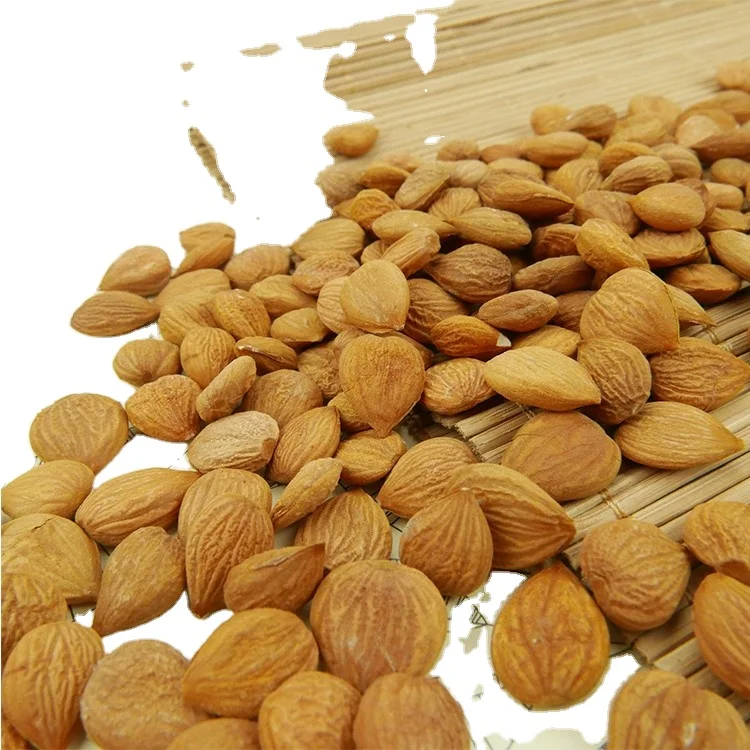 Дешевые ядра натурального абрикоса на продажу