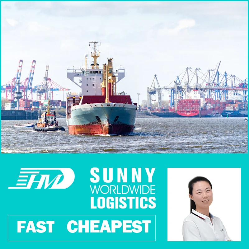 swwls ddp freight forwarder china qingdao ningbo to door sea shipping dubai miami cameroon