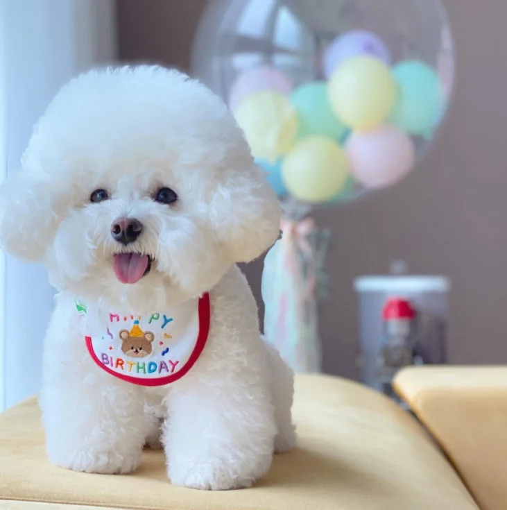 Korean style cute bear birthday embroidery dog bib pet bandana fashion design pet dog scarf bandana pet breathable bandana