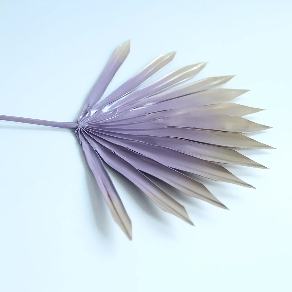 Primary Source Wholesale  Dried Flower Sun Plam Fan Leaves Sprayed color  Plant Material for Home Hotel Office Party Wedding Dec