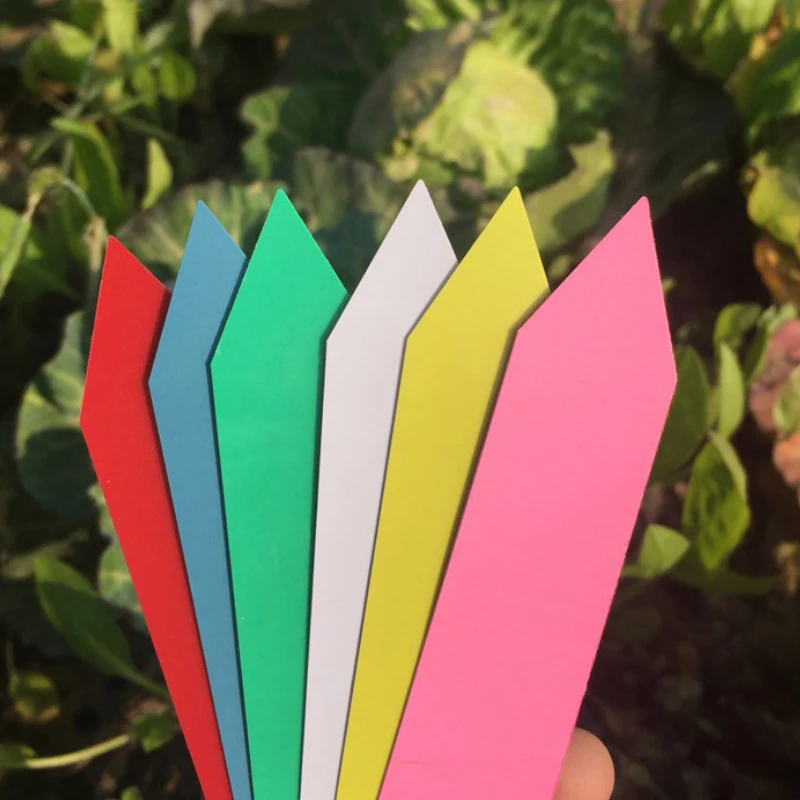 Wholesale different size plastic one font plant labels for garden plant