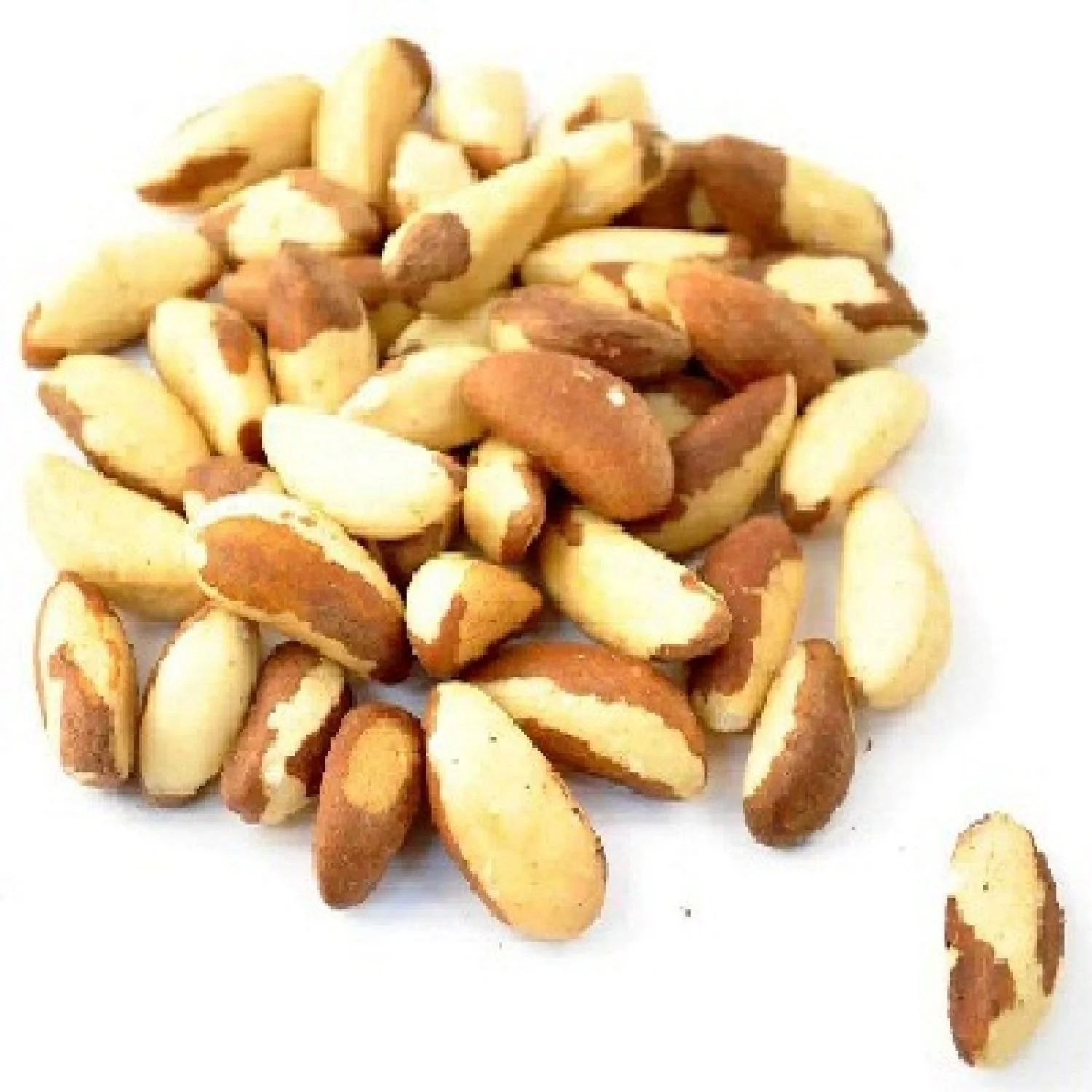 100% Pure Natural High Quality Brazil Nuts Wholesale