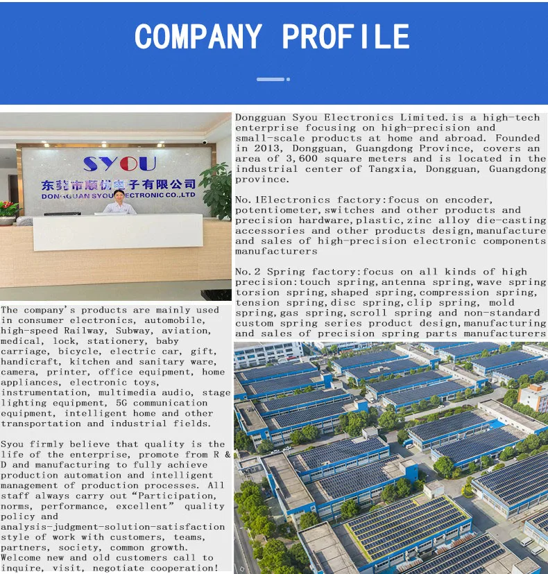 6-Company Profile