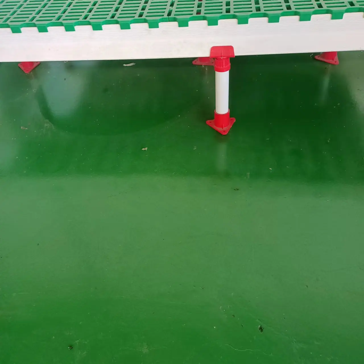 anti skid eight years warranty sheep farm plastic slatted flooring for goat pig shed