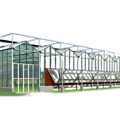 Tempered  greenhouse glass ,vegeatable seeds greenhouse