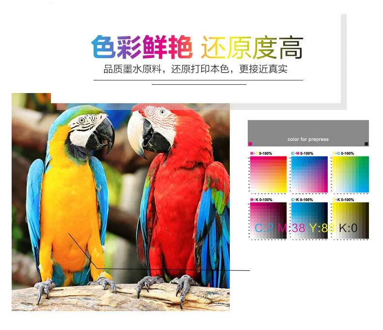 LONGYIE water based dye ink for photo printer D7001 D8001 ESPON D700 EPSON D800 FUJI DX100 FUJI DE100