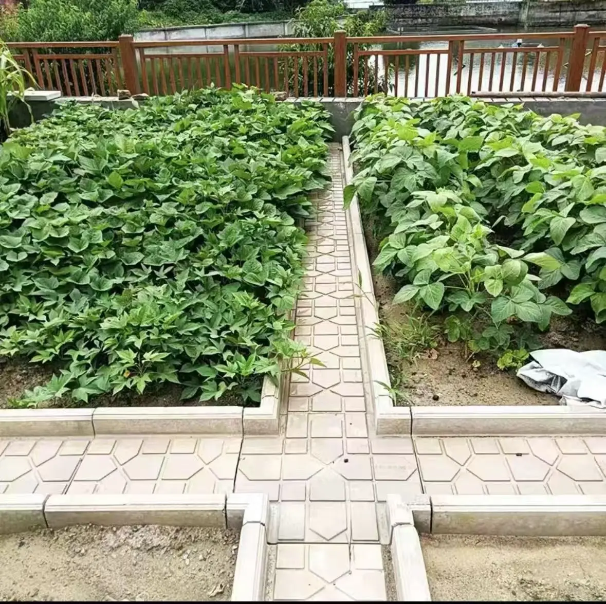 Vegetable Ditch Mold Garden Foot Stone Precast Cement