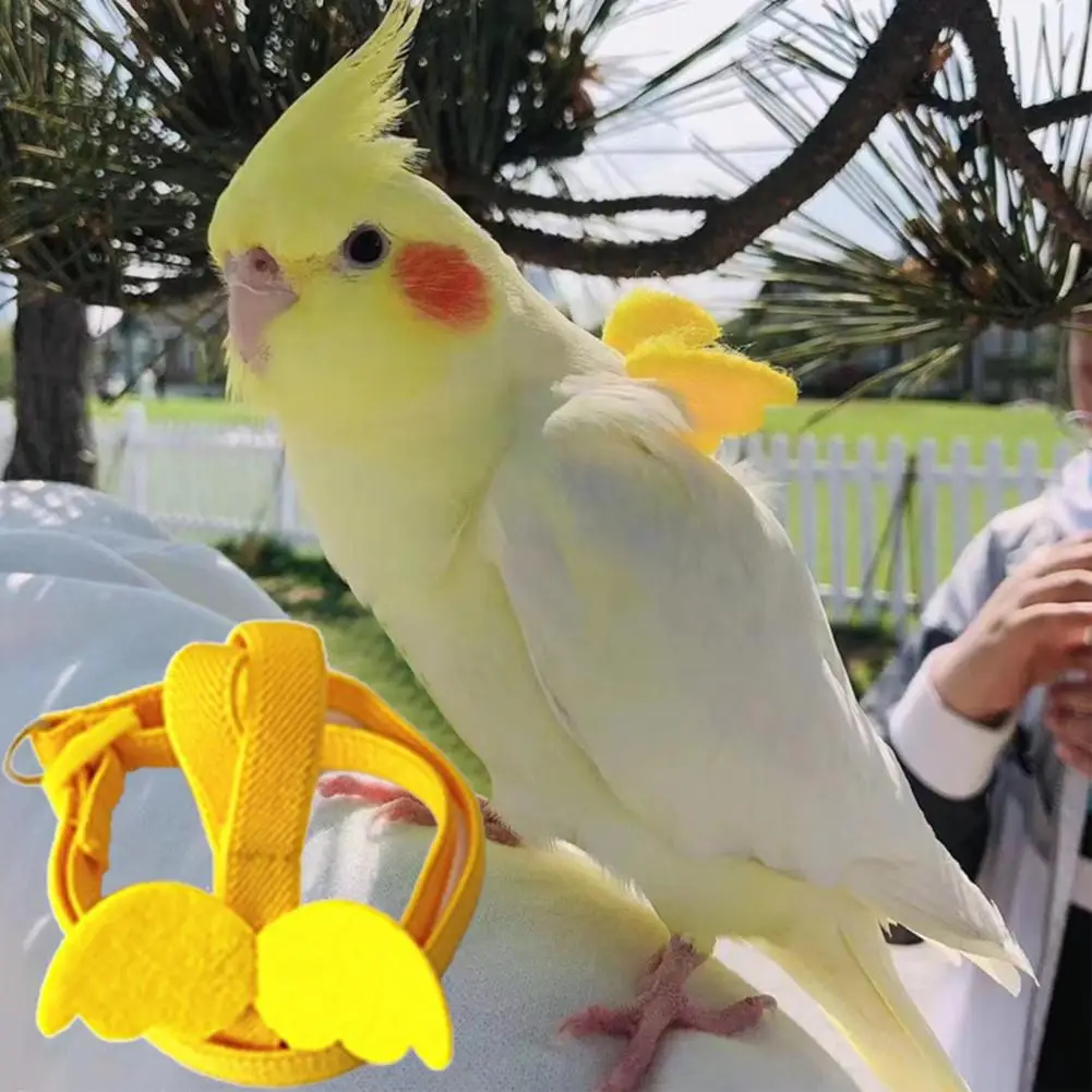 Long Cable Bird Harness Leash Anti-Bite Training Rope Decorative Lightweight Parakeet Parrot Vest Rope for Bird