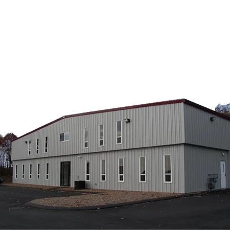 Low Cost Steel Structure Factory Building and Steel Structure Building